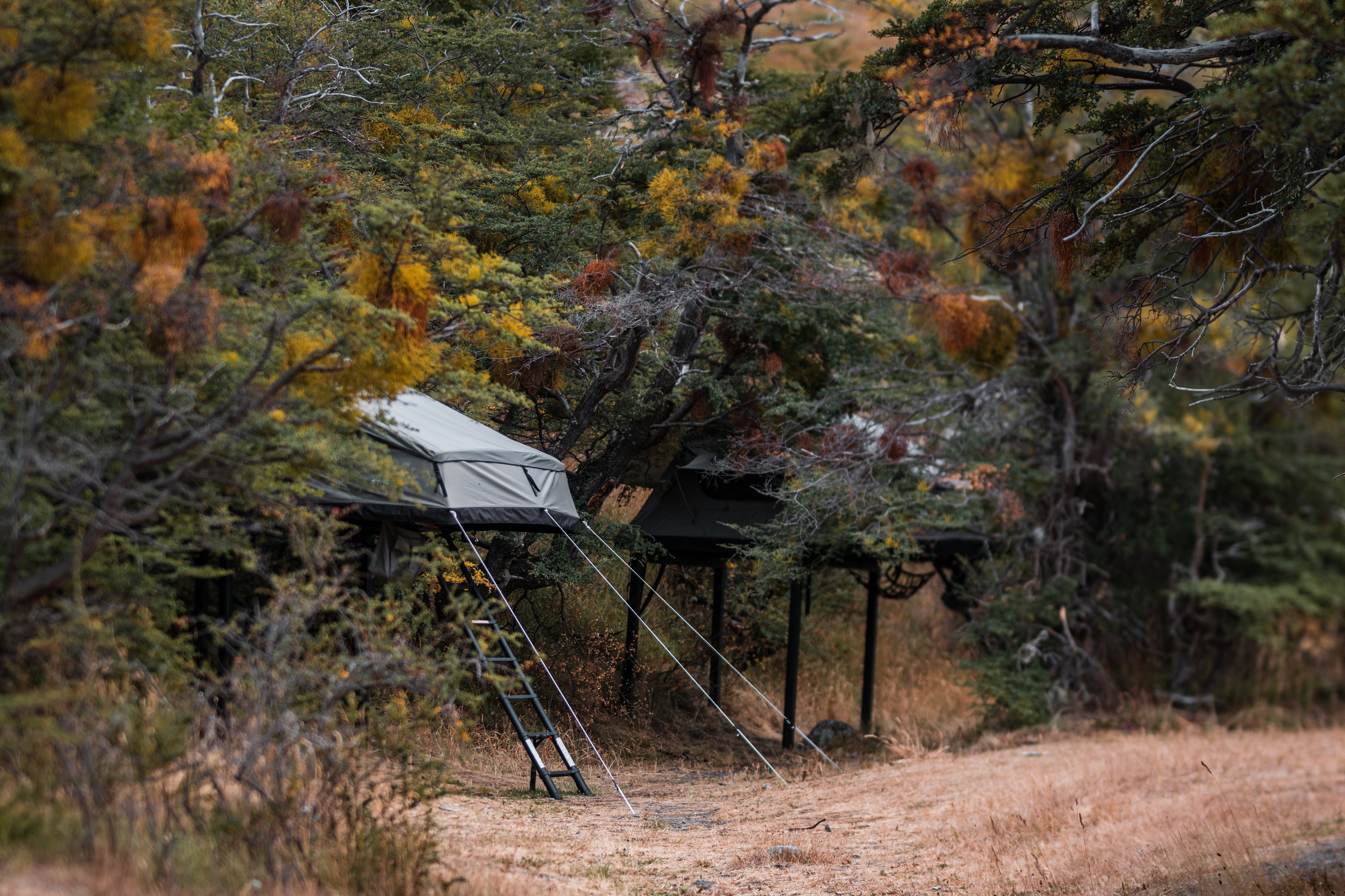 Carpas Tribu: una nueva forma de habitar la naturaleza