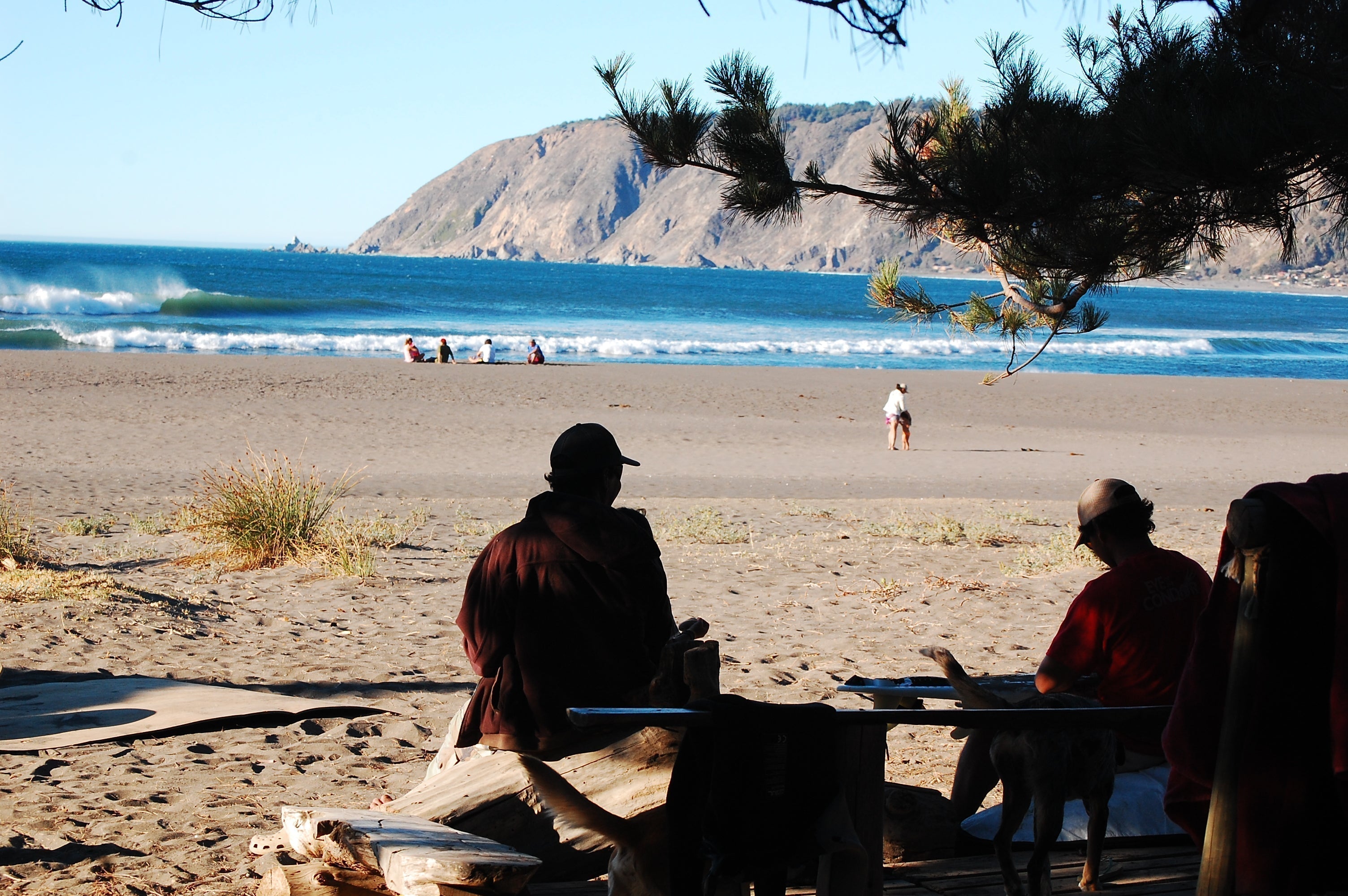 Desde Concón hasta Punta de Lobos: una travesía por la costa chilena
