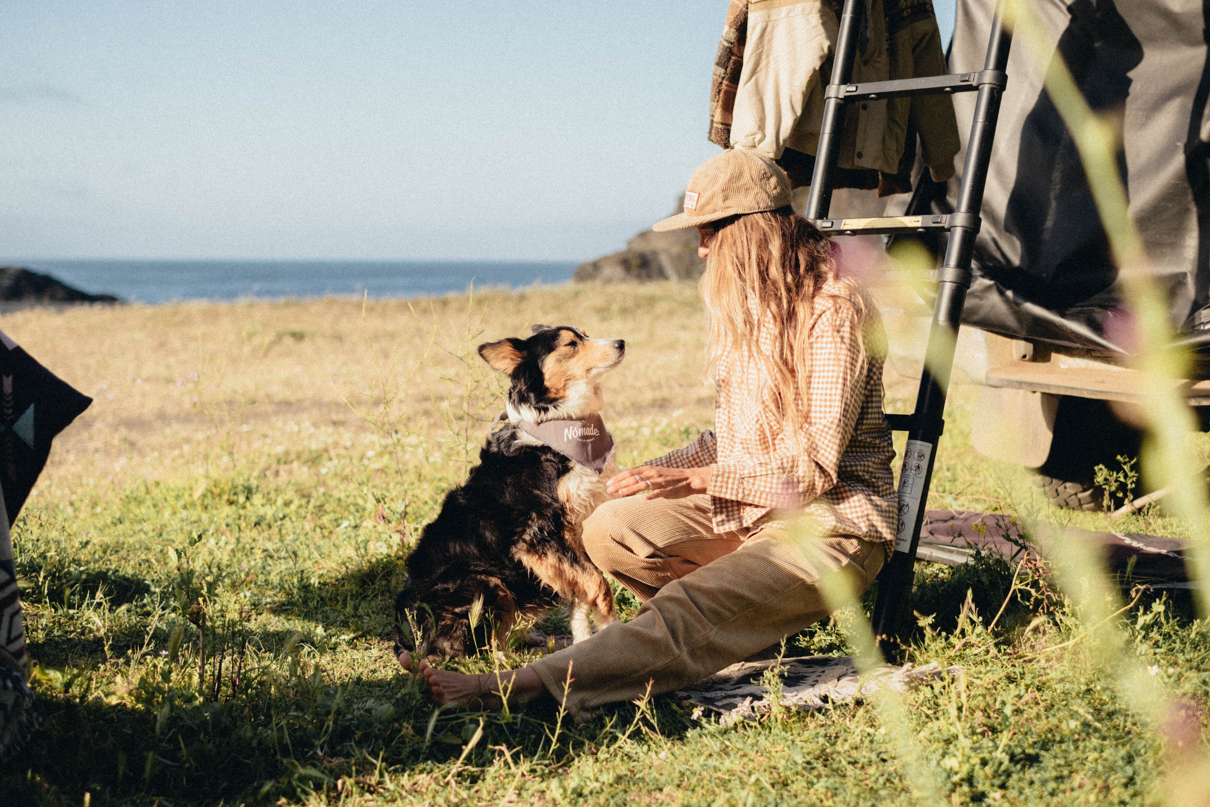 Destinos pet friendly en Chile para viajar con tu perro en Carpa de Techo