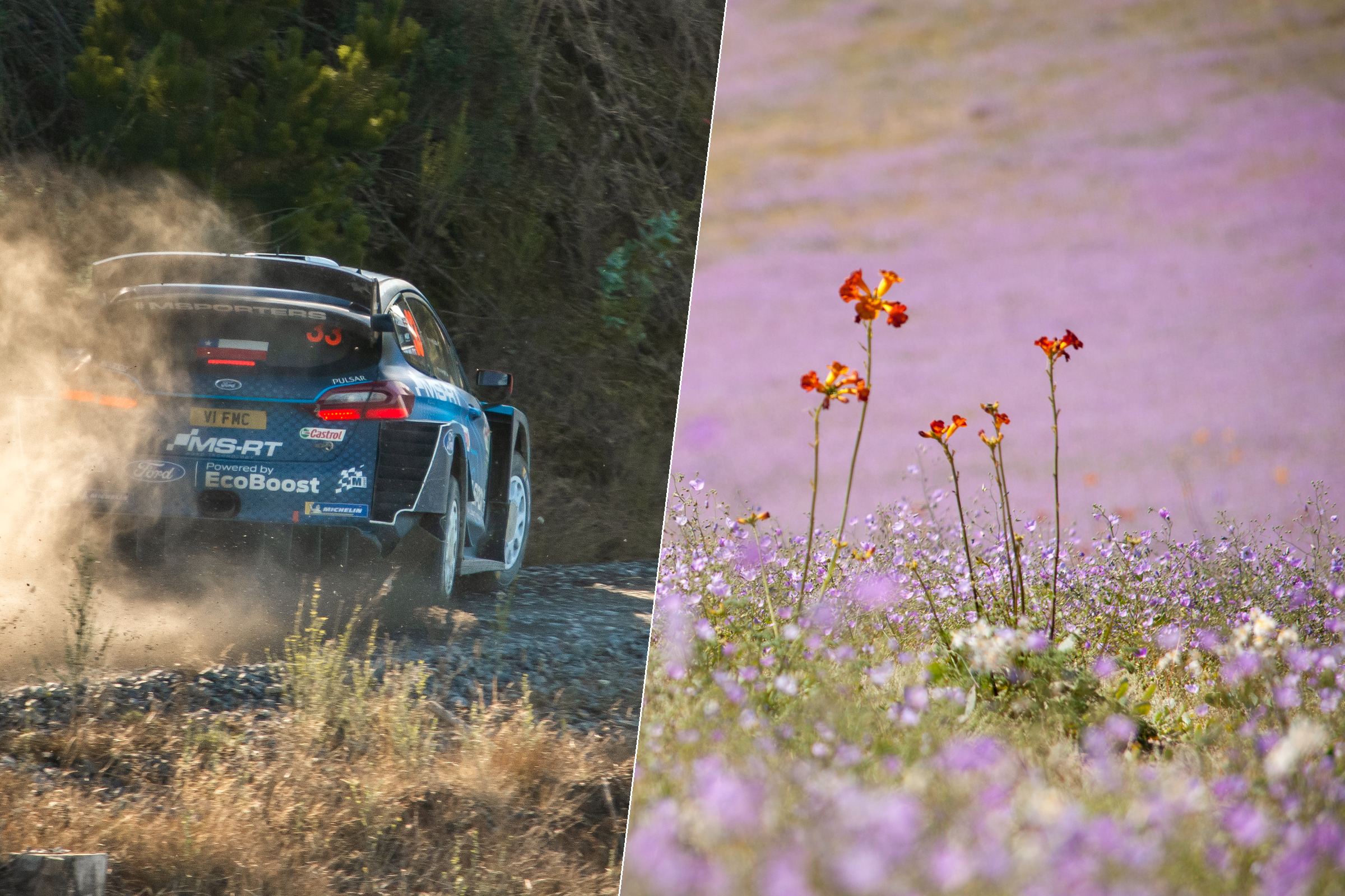 De rally al Desierto Florido: la ruta Tribu para vivir septiembre 2026