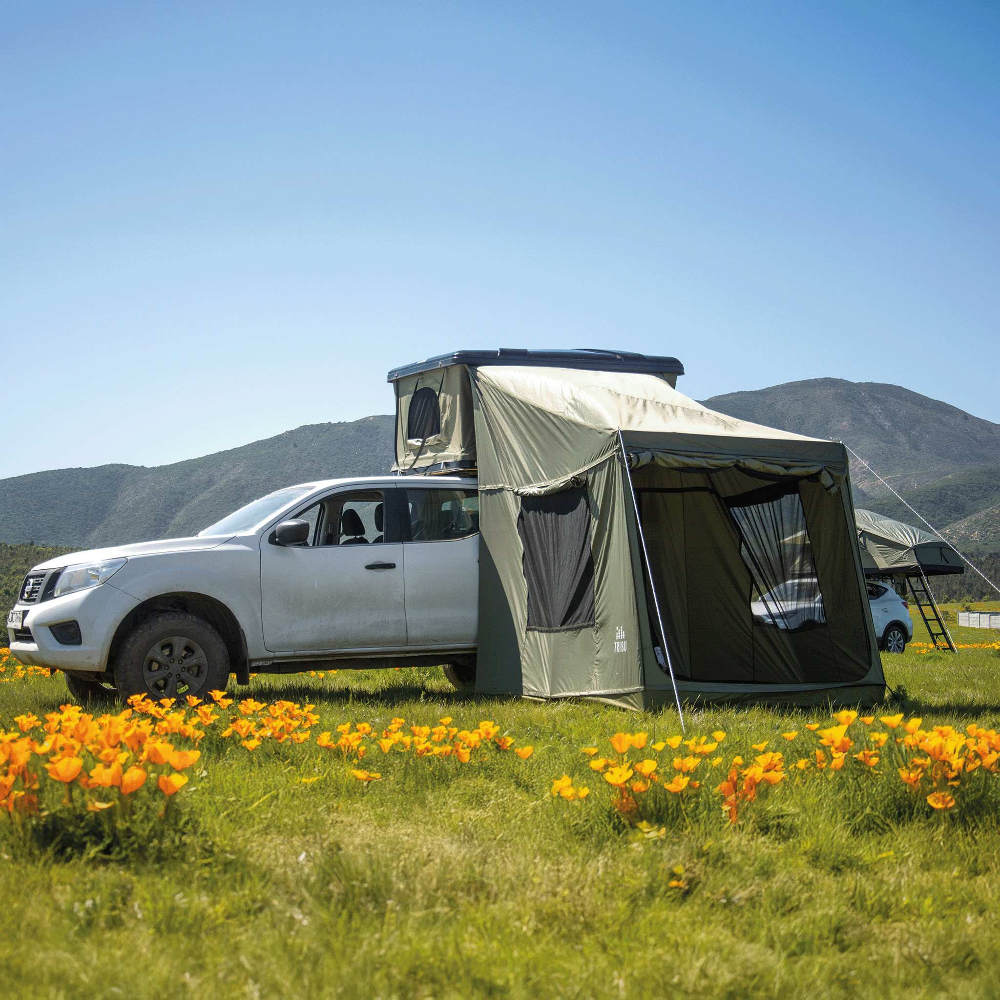 ANEXO DE CARPA NÓMADE