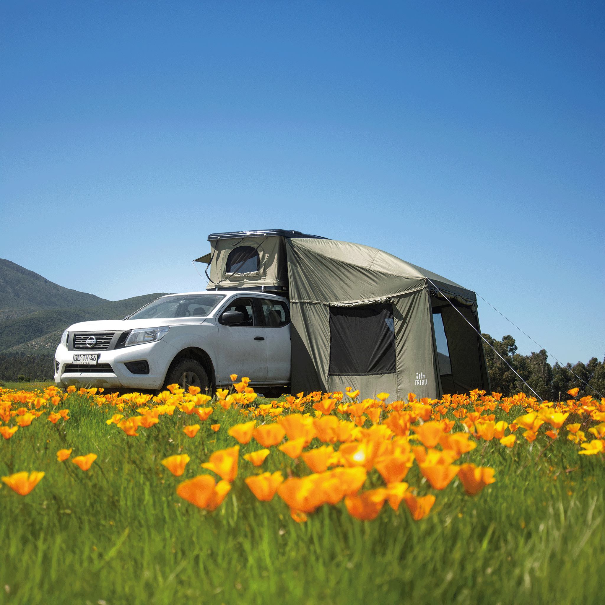 ANEXO DE CARPA NÓMADE