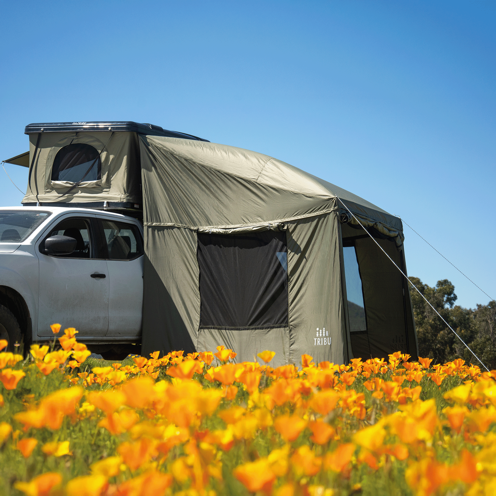 ANEXO DE CARPA NÓMADE