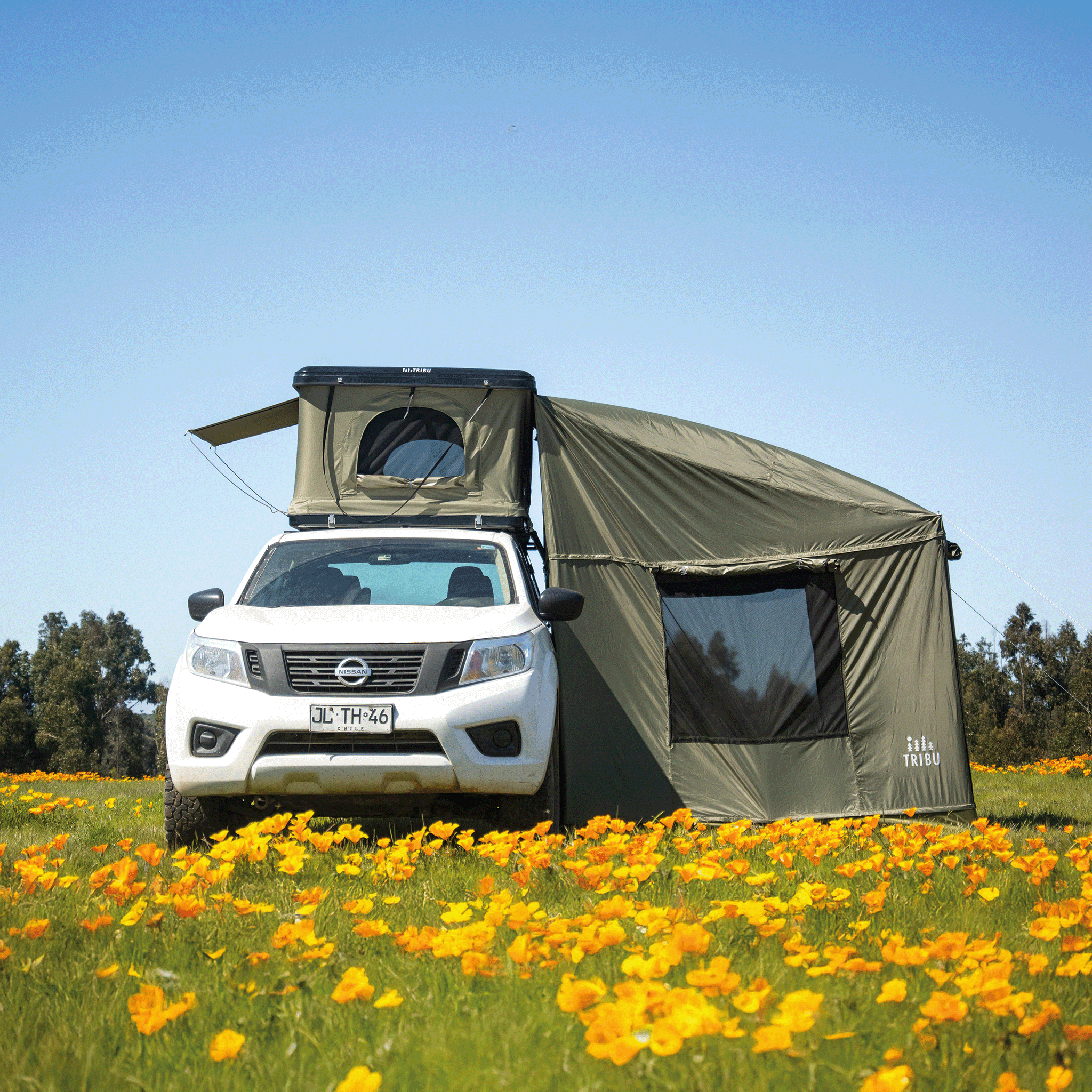 ANEXO DE CARPA NÓMADE