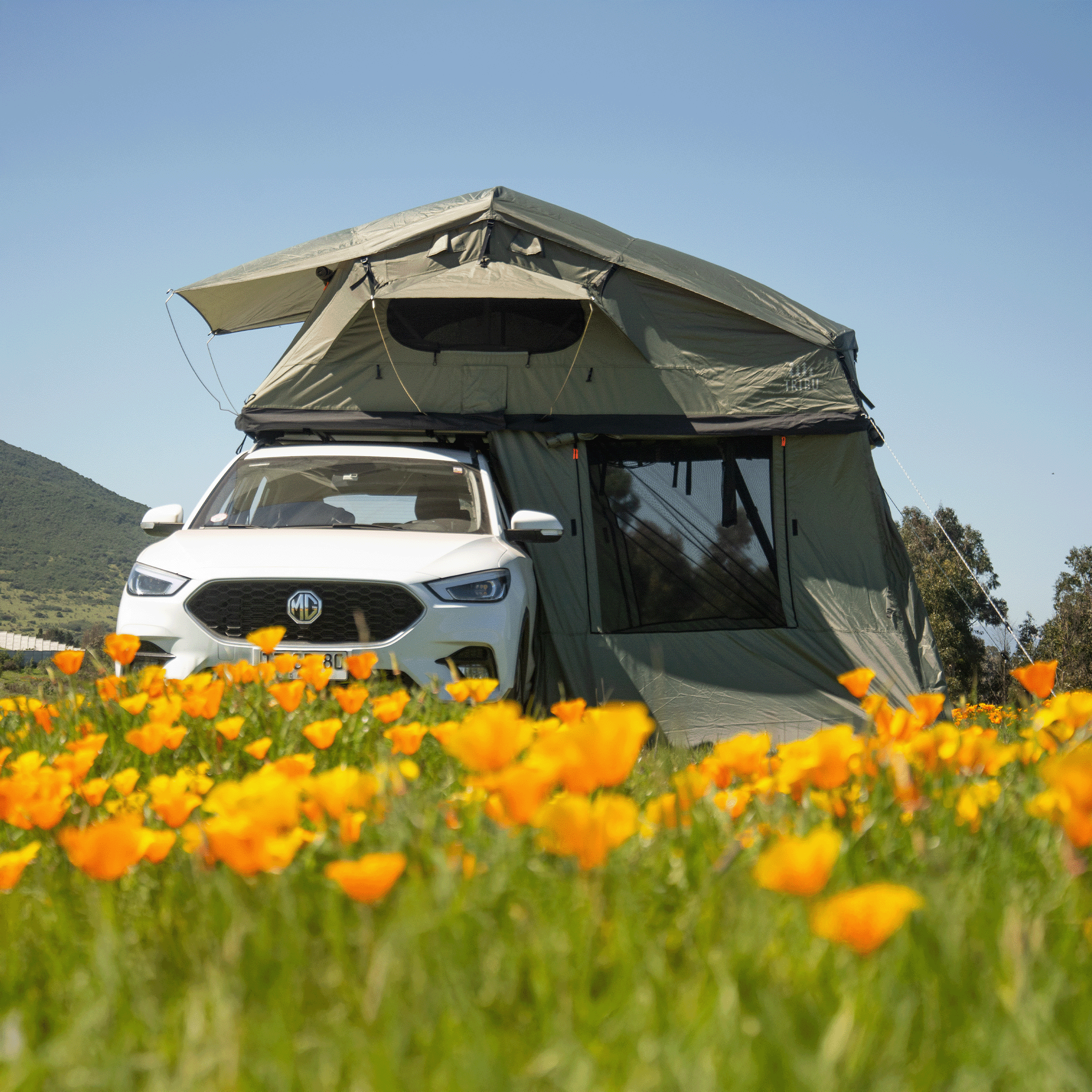 Anexo de Carpa Expedición