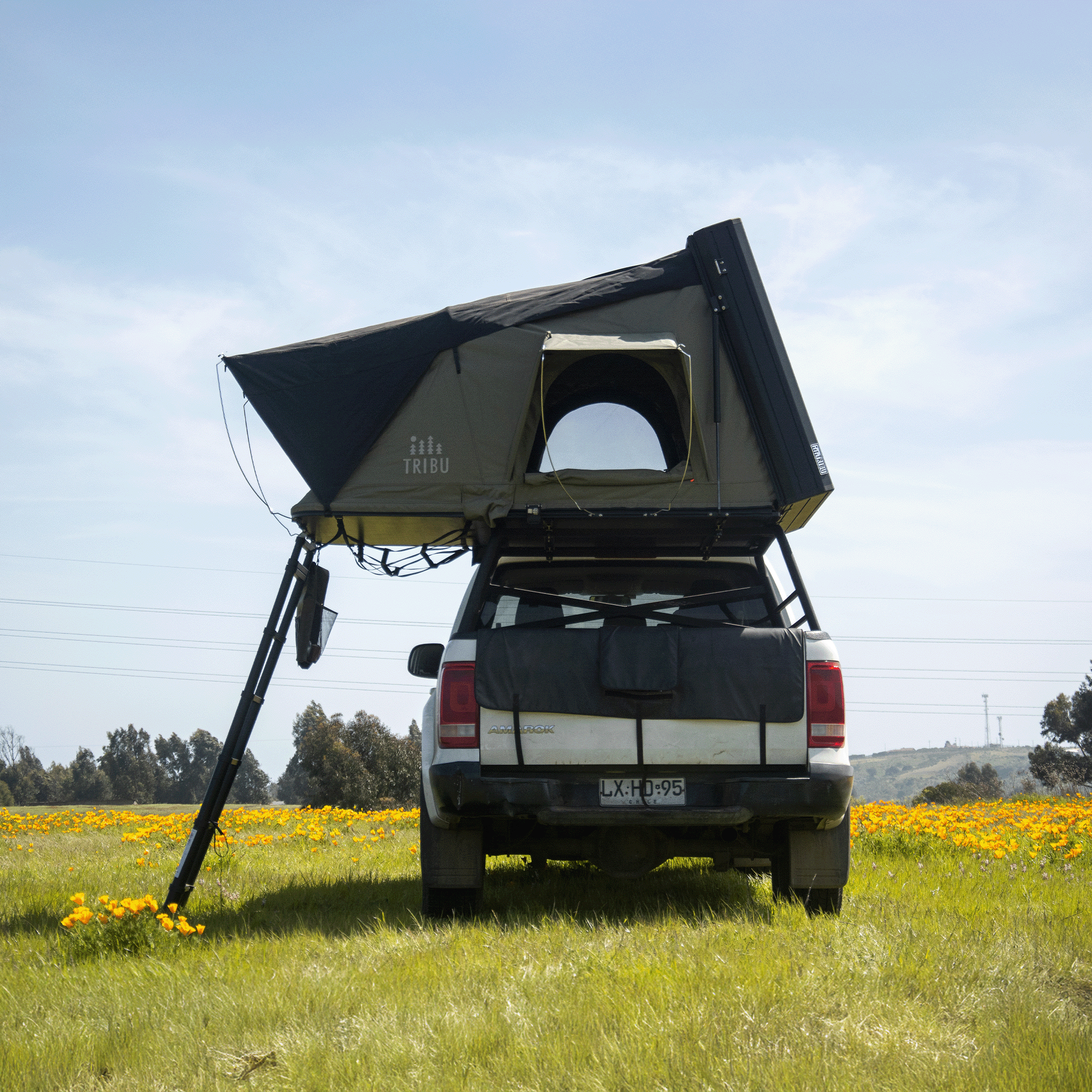 Carpa de Techo Aventura