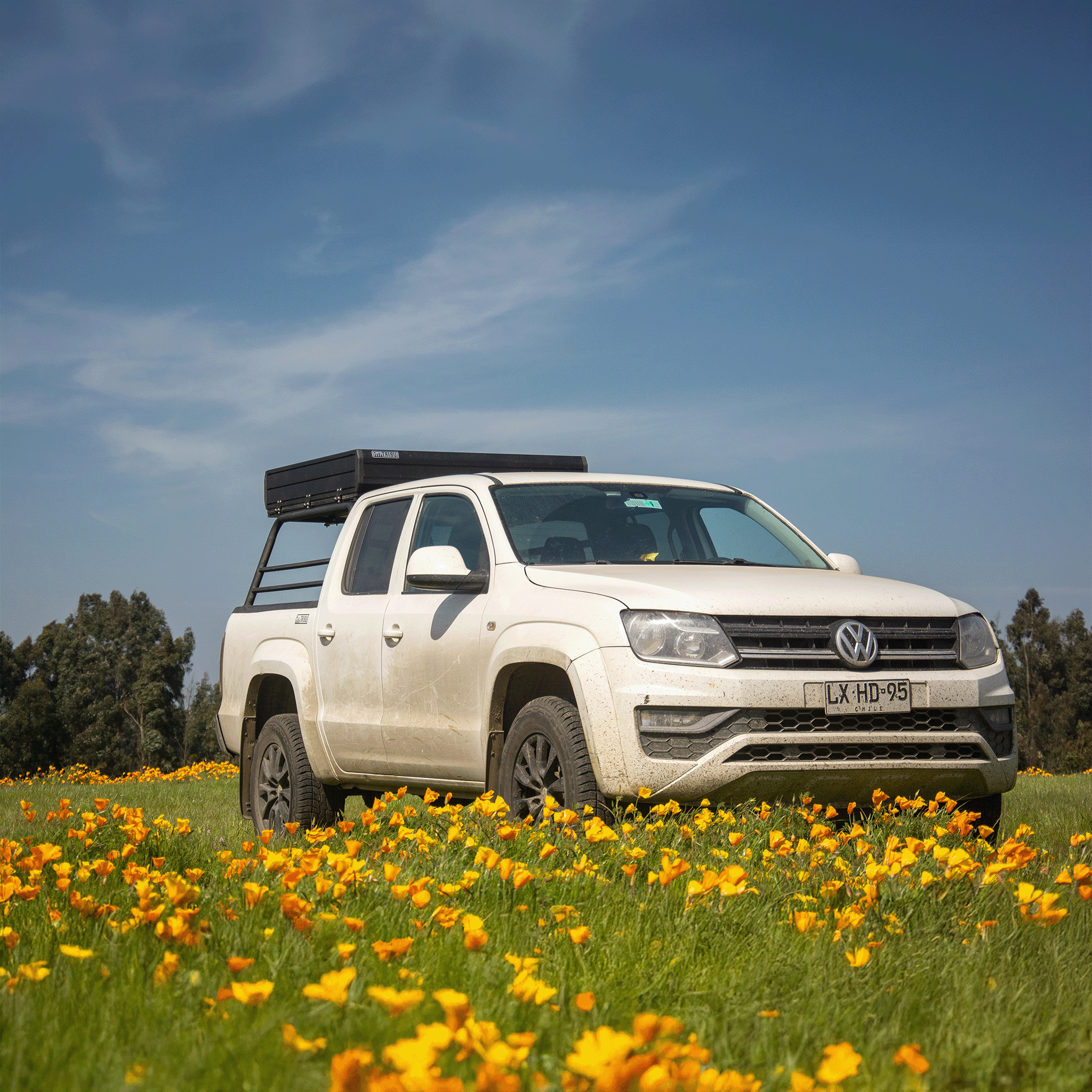 Carpa de Techo Aventura