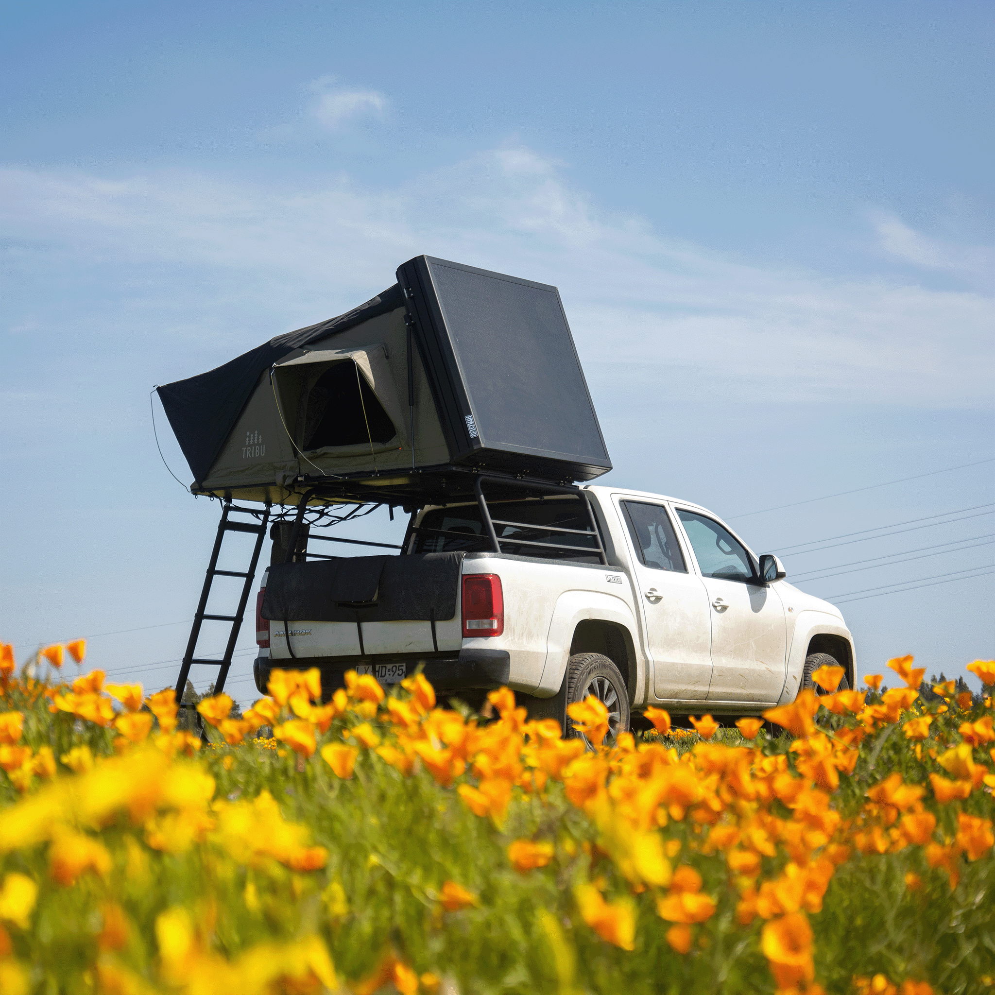 Carpa de Techo Aventura