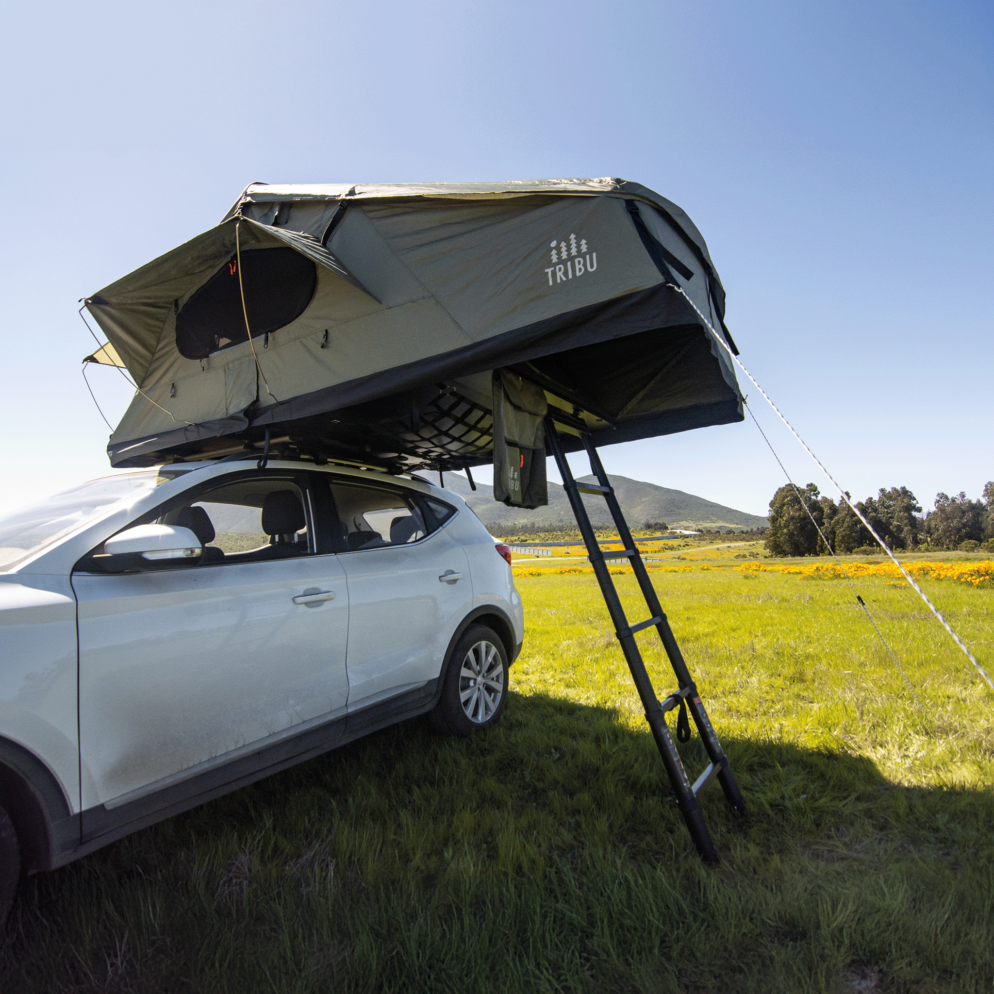 Carpa de Techo Expedición