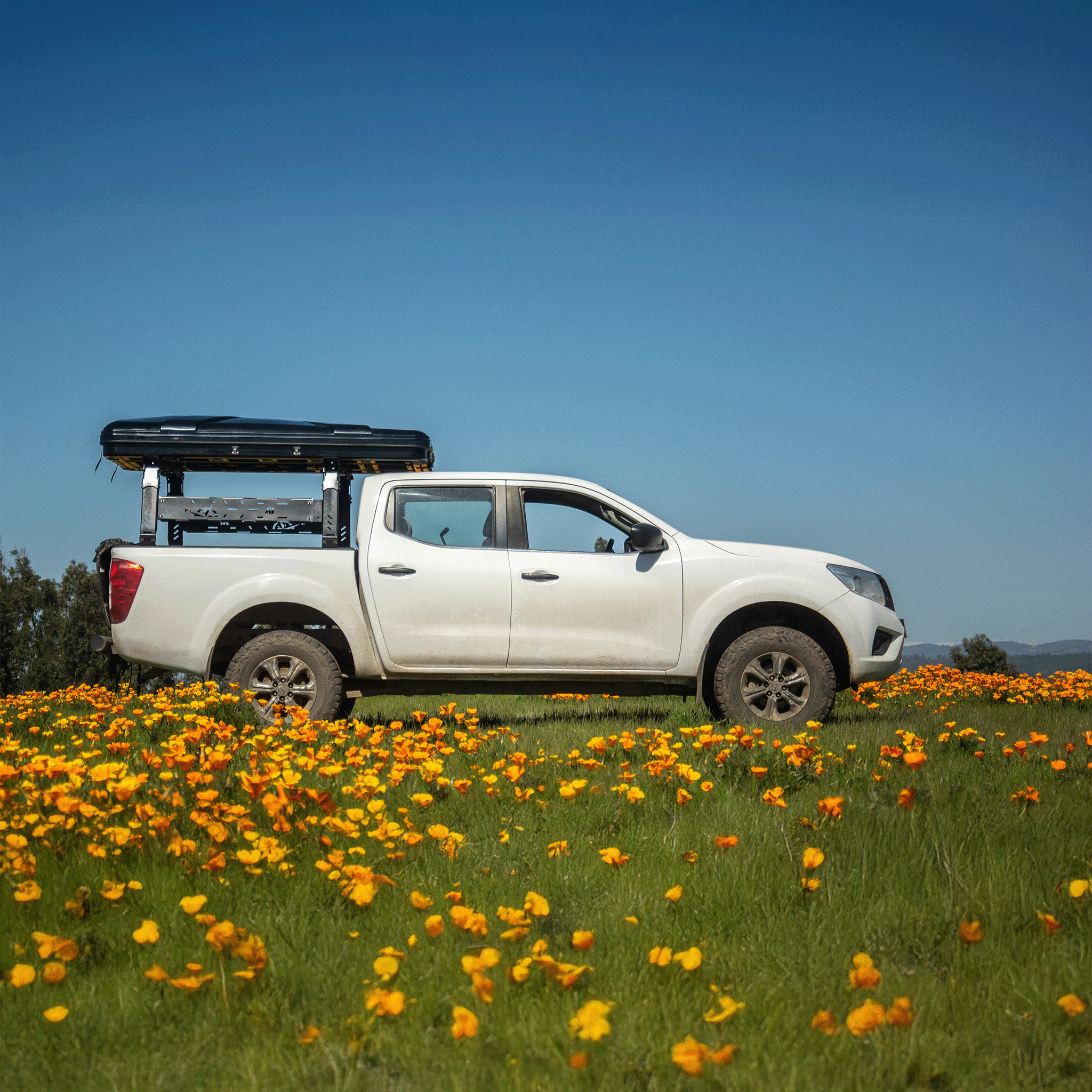 Carpa de Techo Nómade