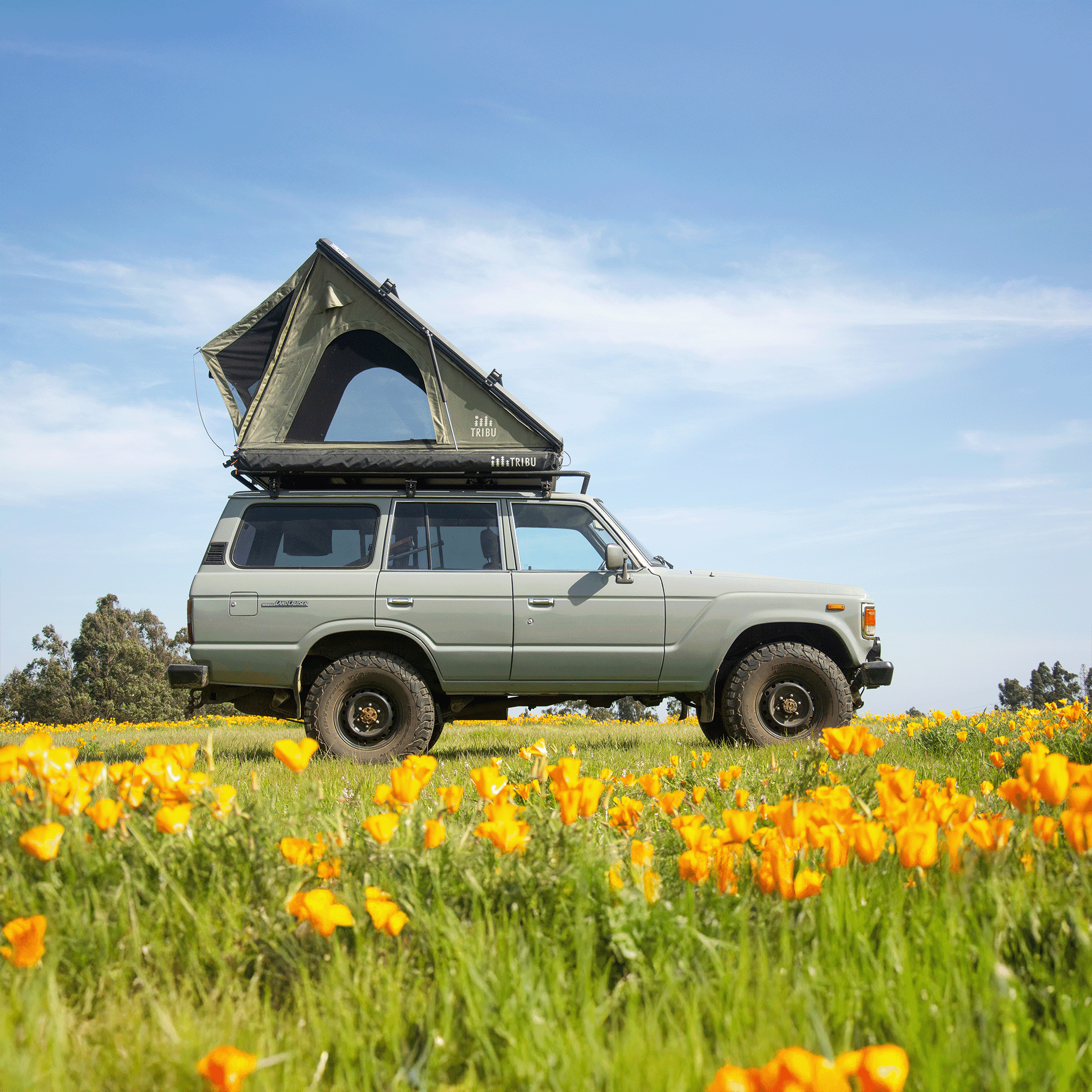 Carpa de Techo Nómade AT