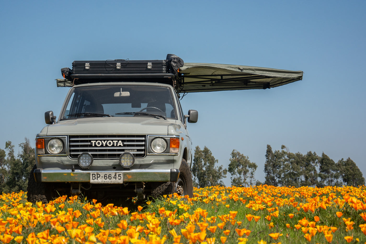 TOLDO 270