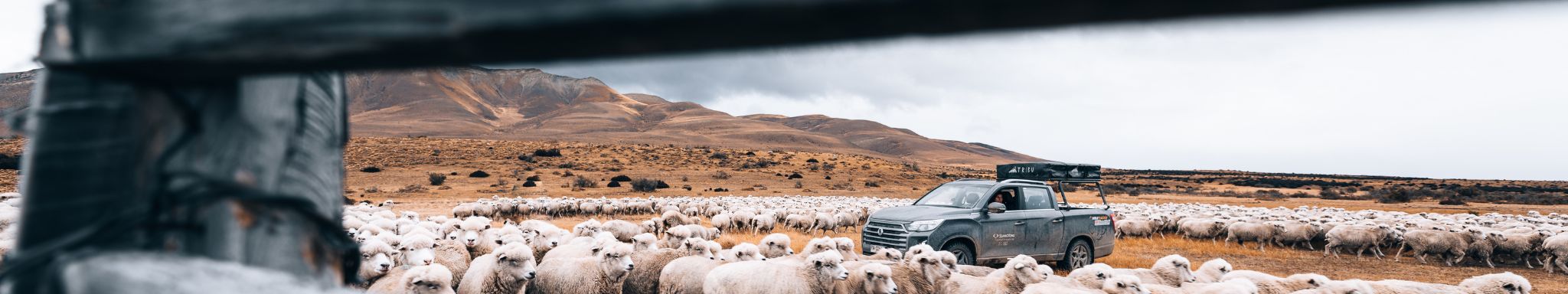 Nuestros Distribuidores