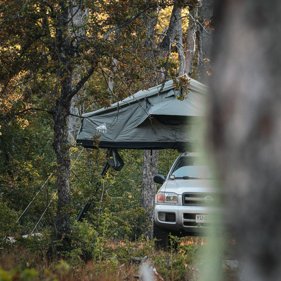Carpa de Techo Expedición