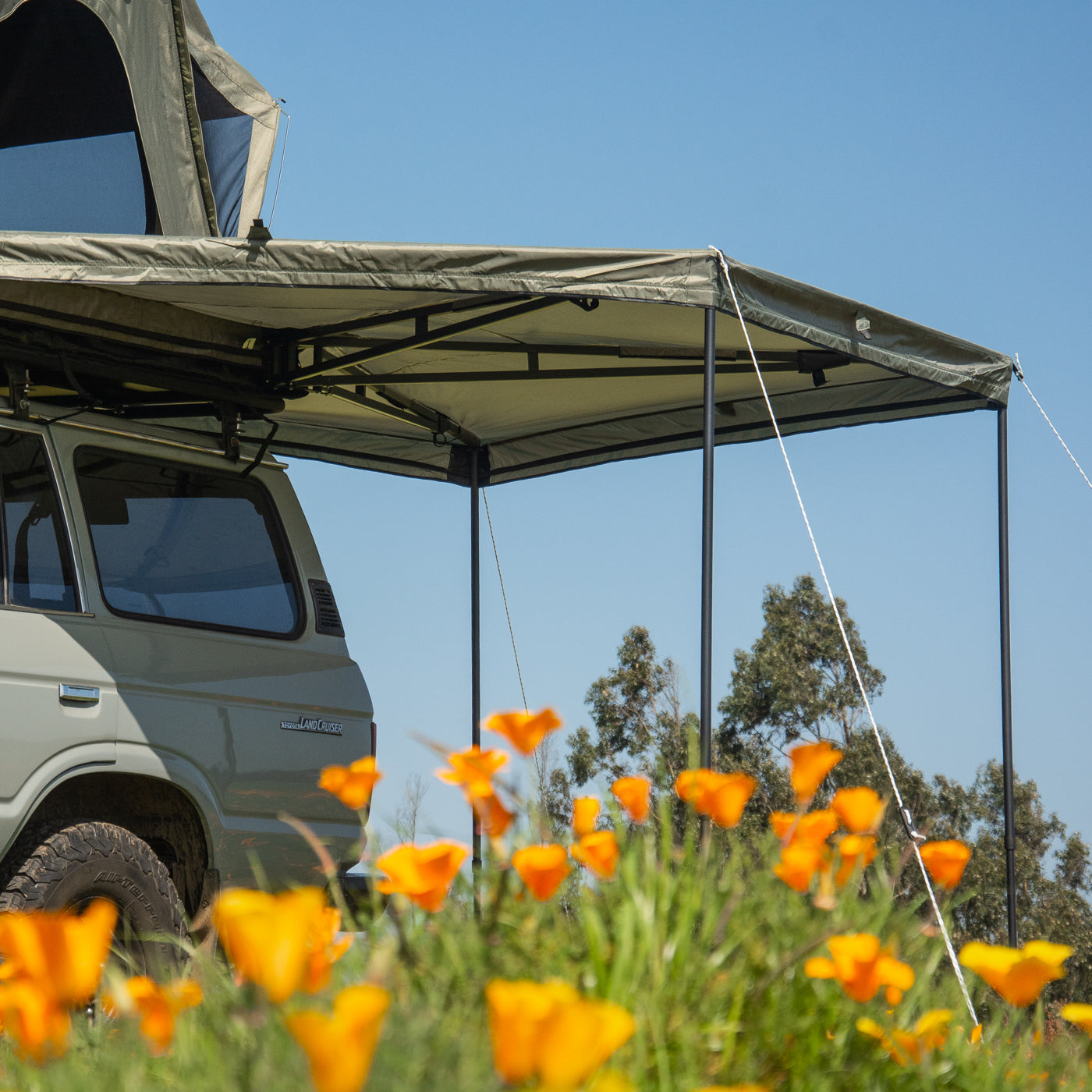 TOLDO 270