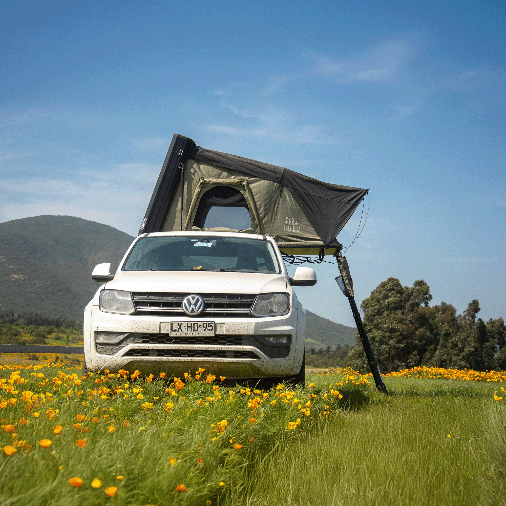 Carpa de Techo Aventura