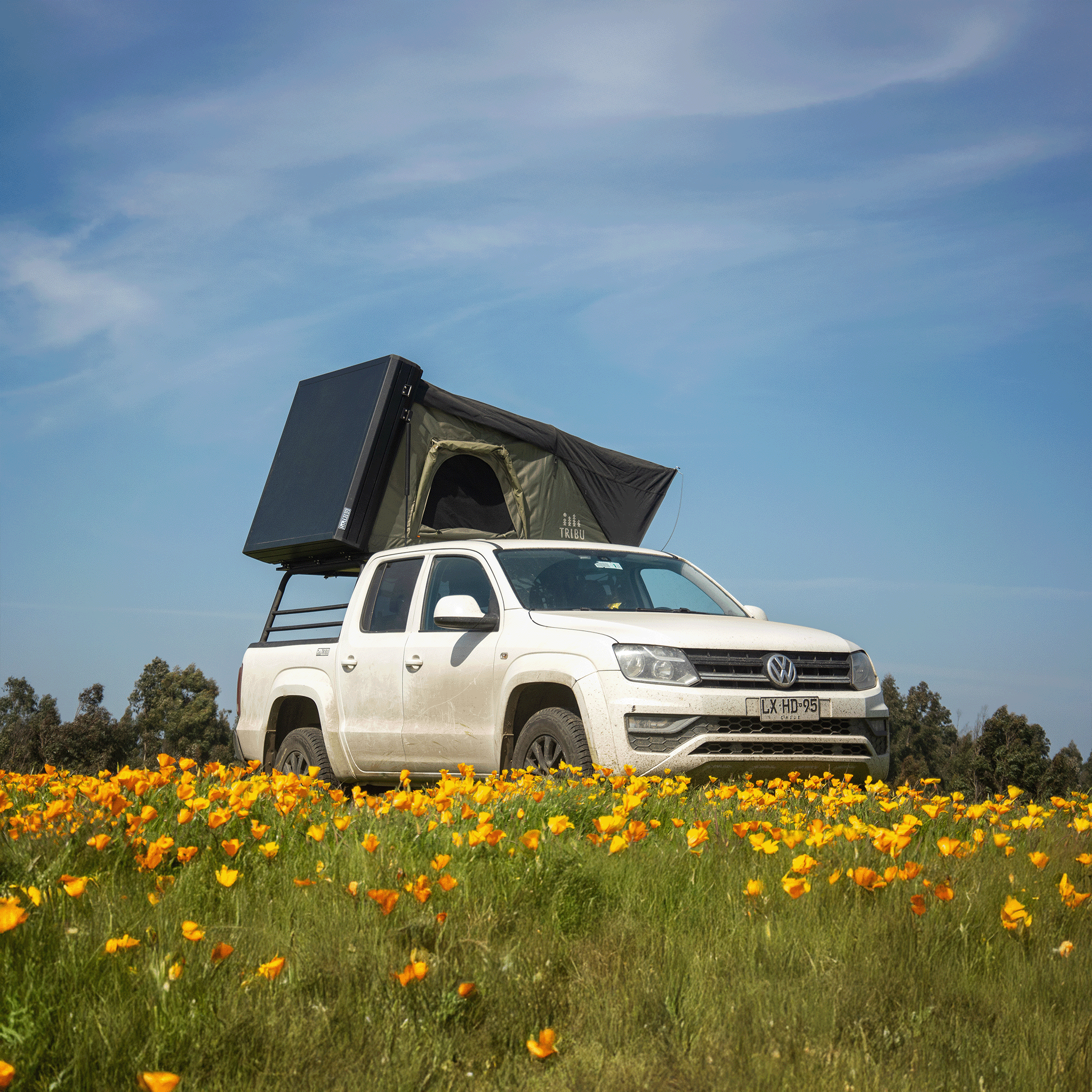 Carpa de Techo Aventura