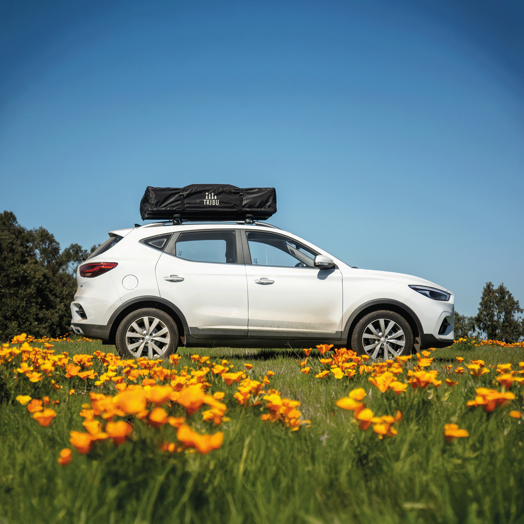 Carpa de Techo Expedición