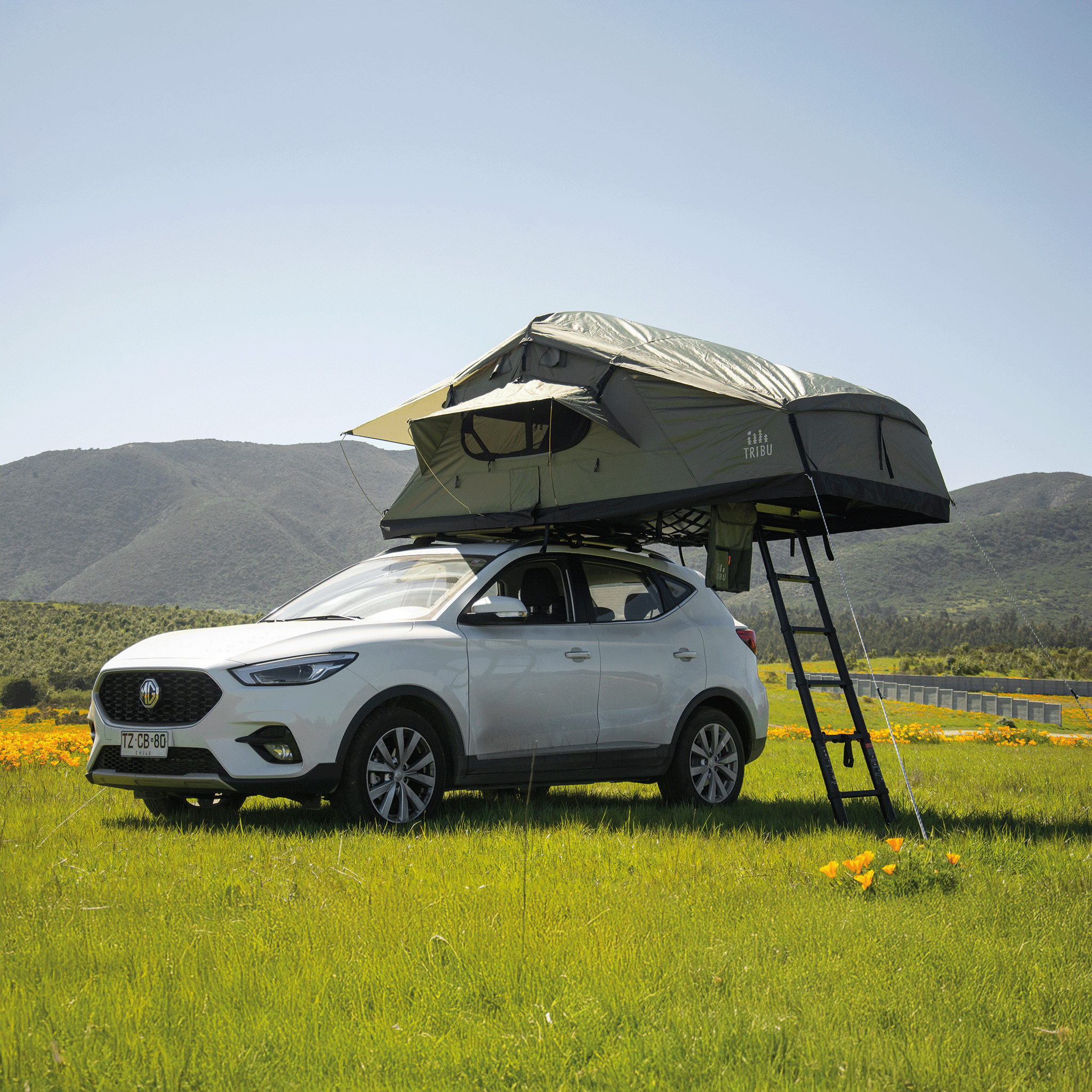 Carpa de Techo Expedición