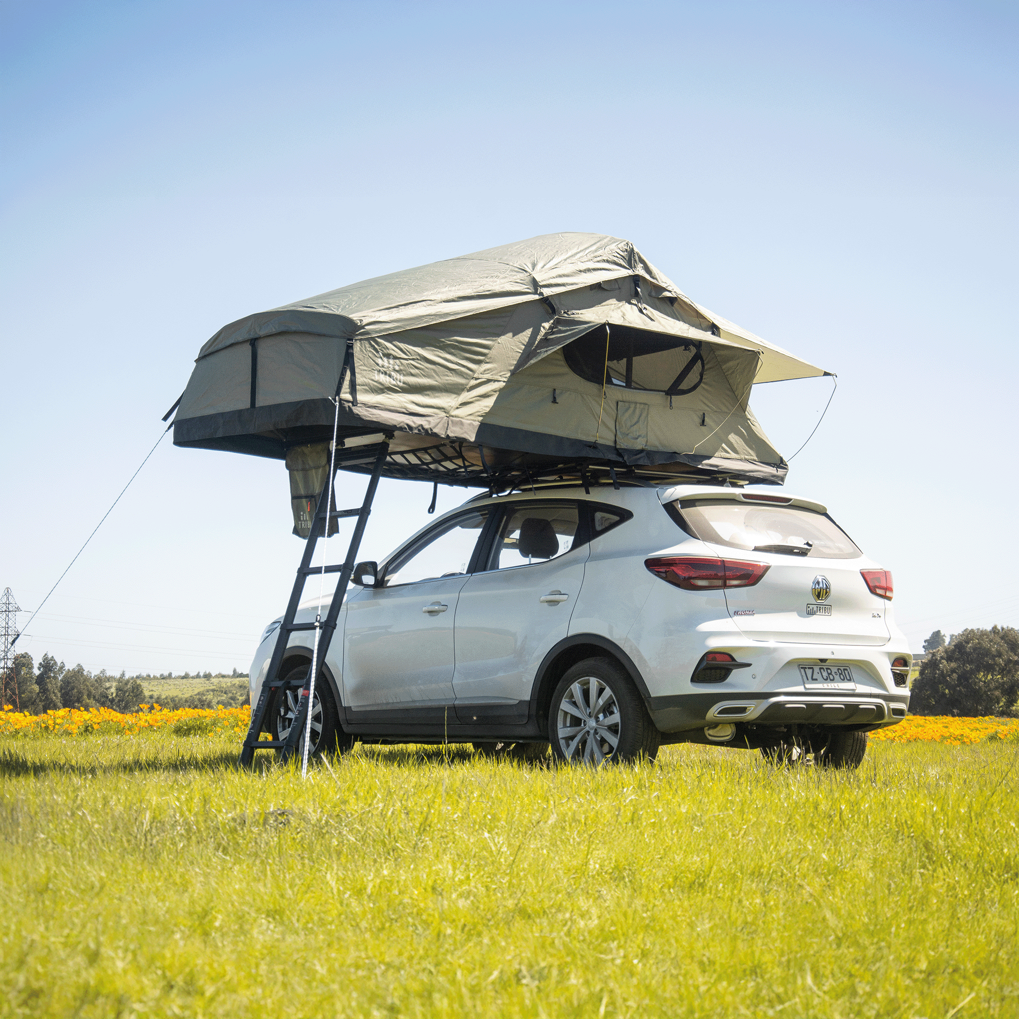 Carpa de Techo Expedición