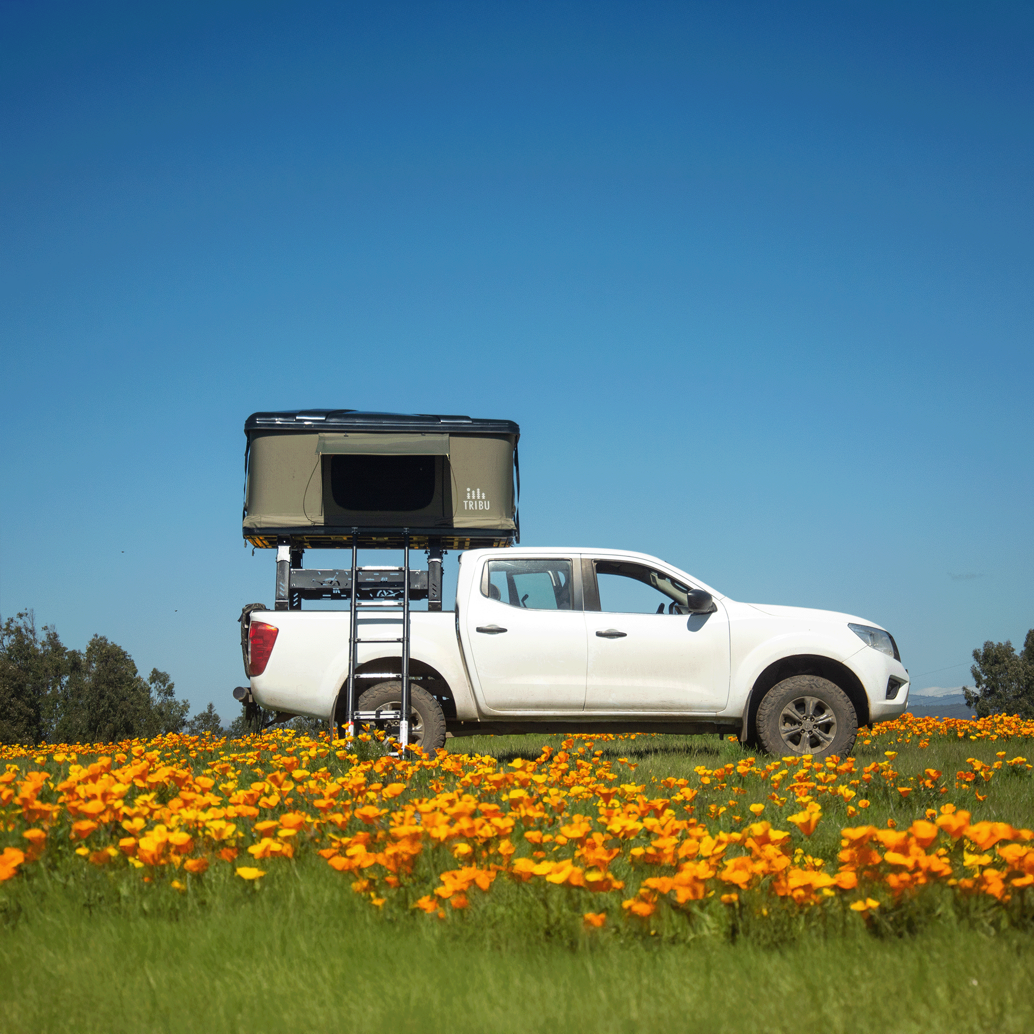 Carpa de Techo Nómade