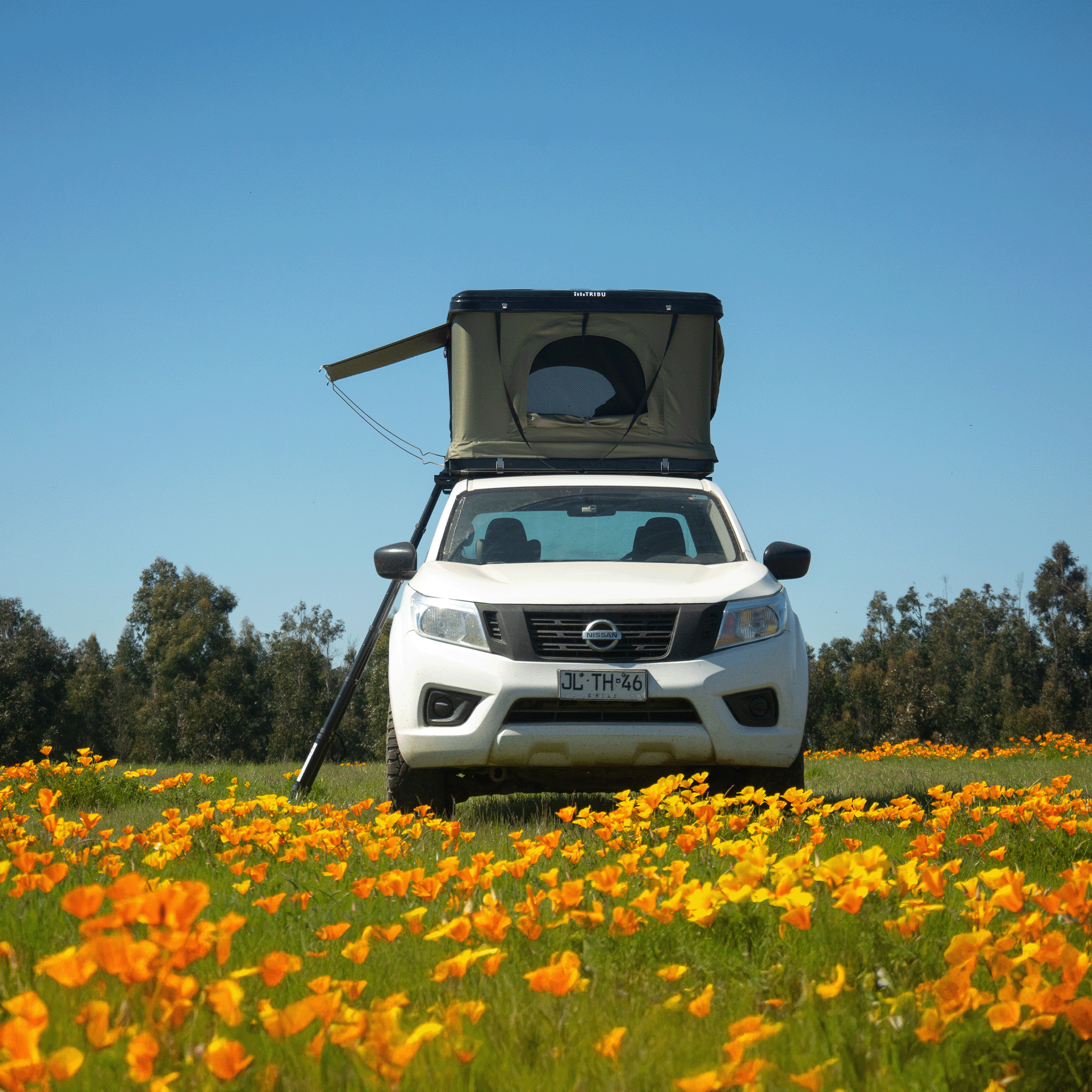 Carpa de Techo Nómade