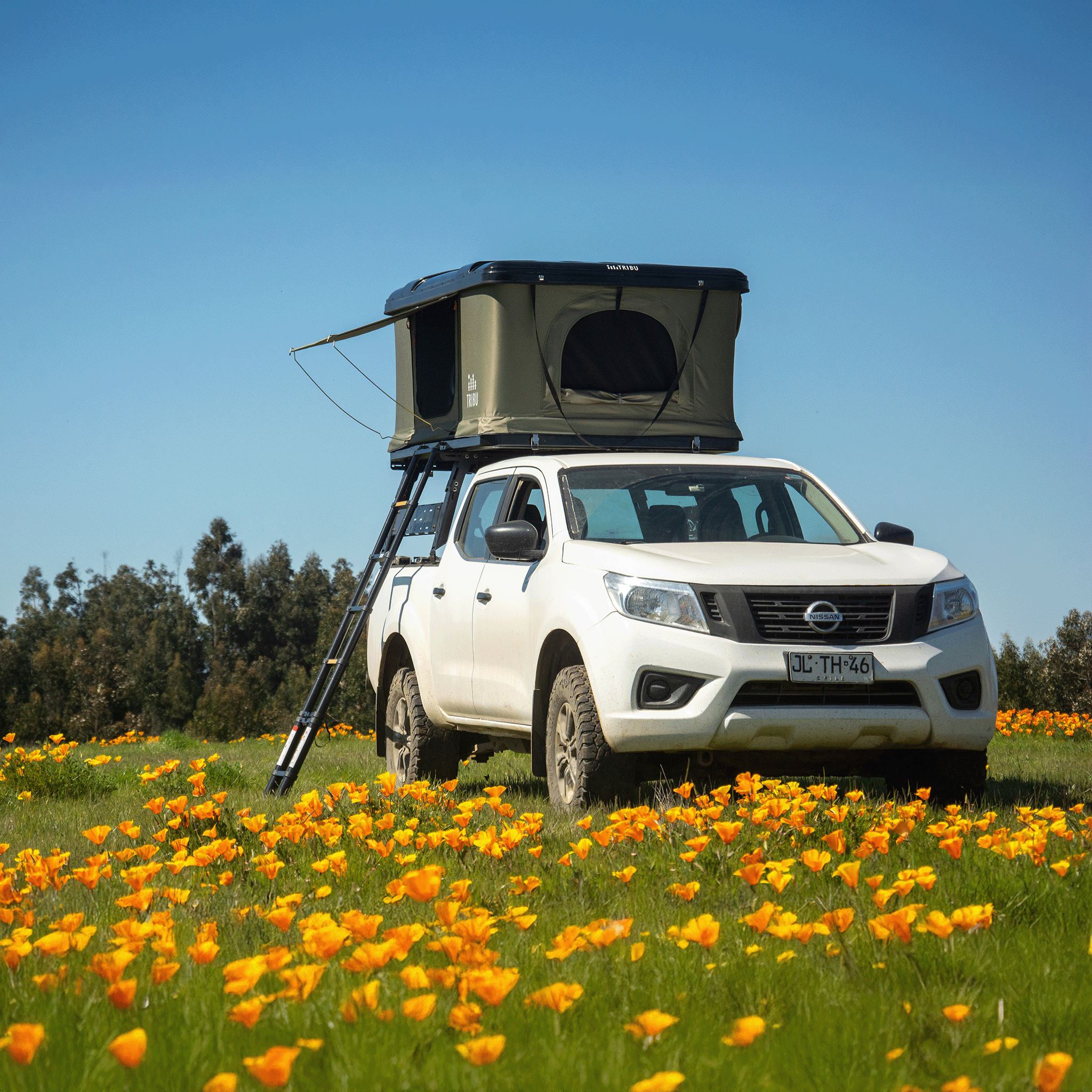 Carpa de Techo Nómade