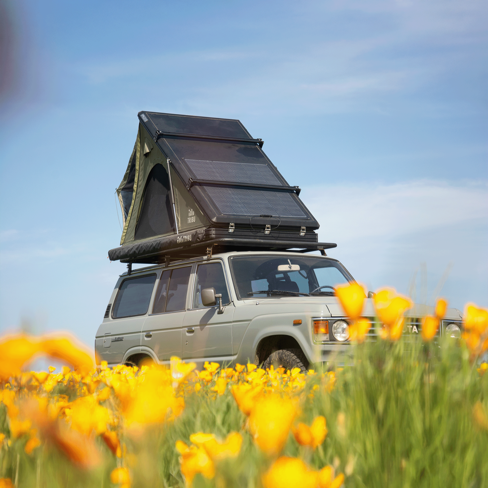 Carpa de Techo Nómade AT