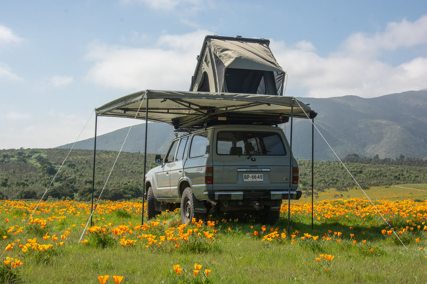 TOLDO 270
