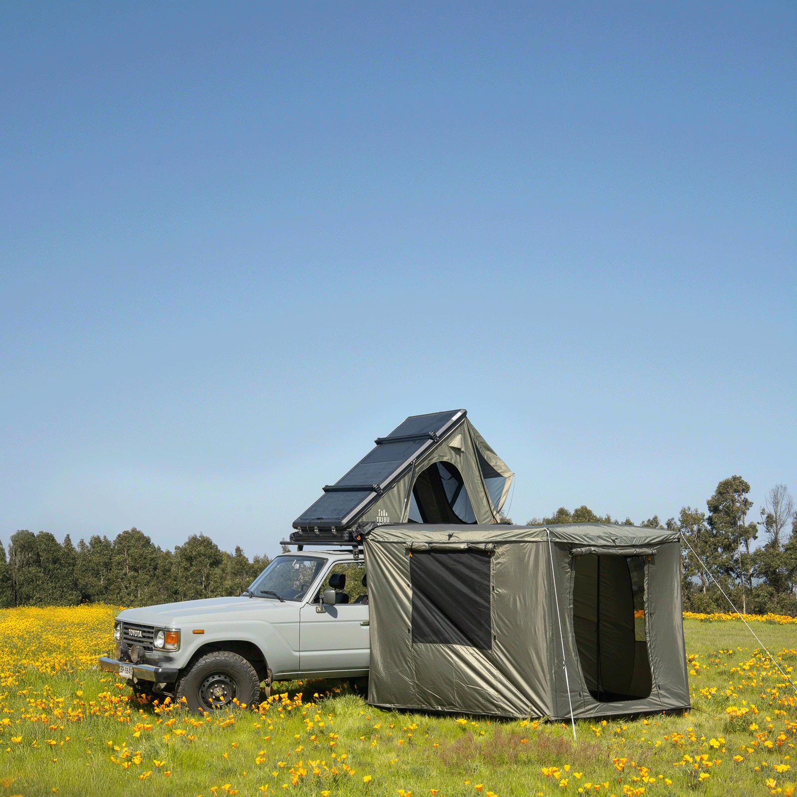 TOLDO 270