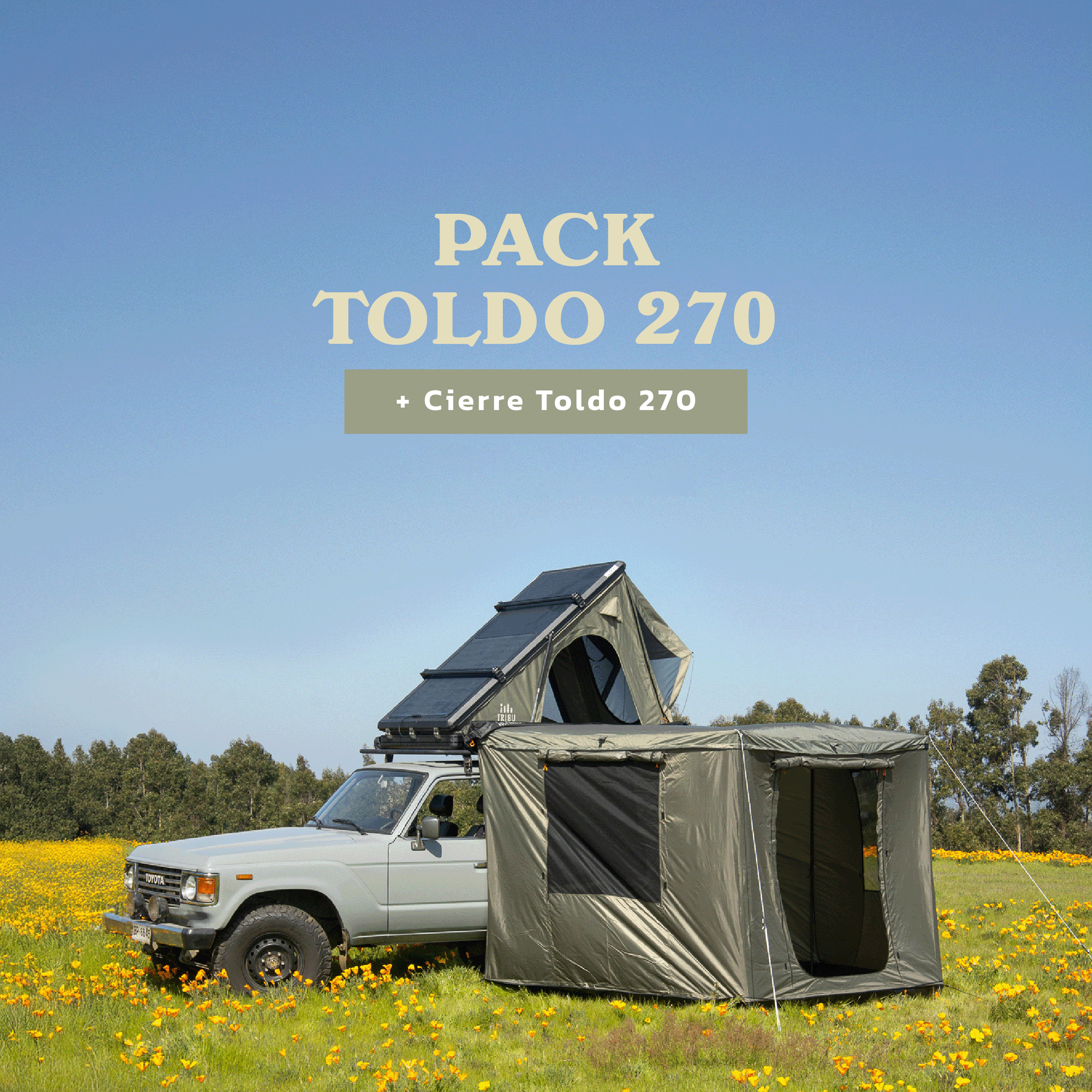 TOLDO 270