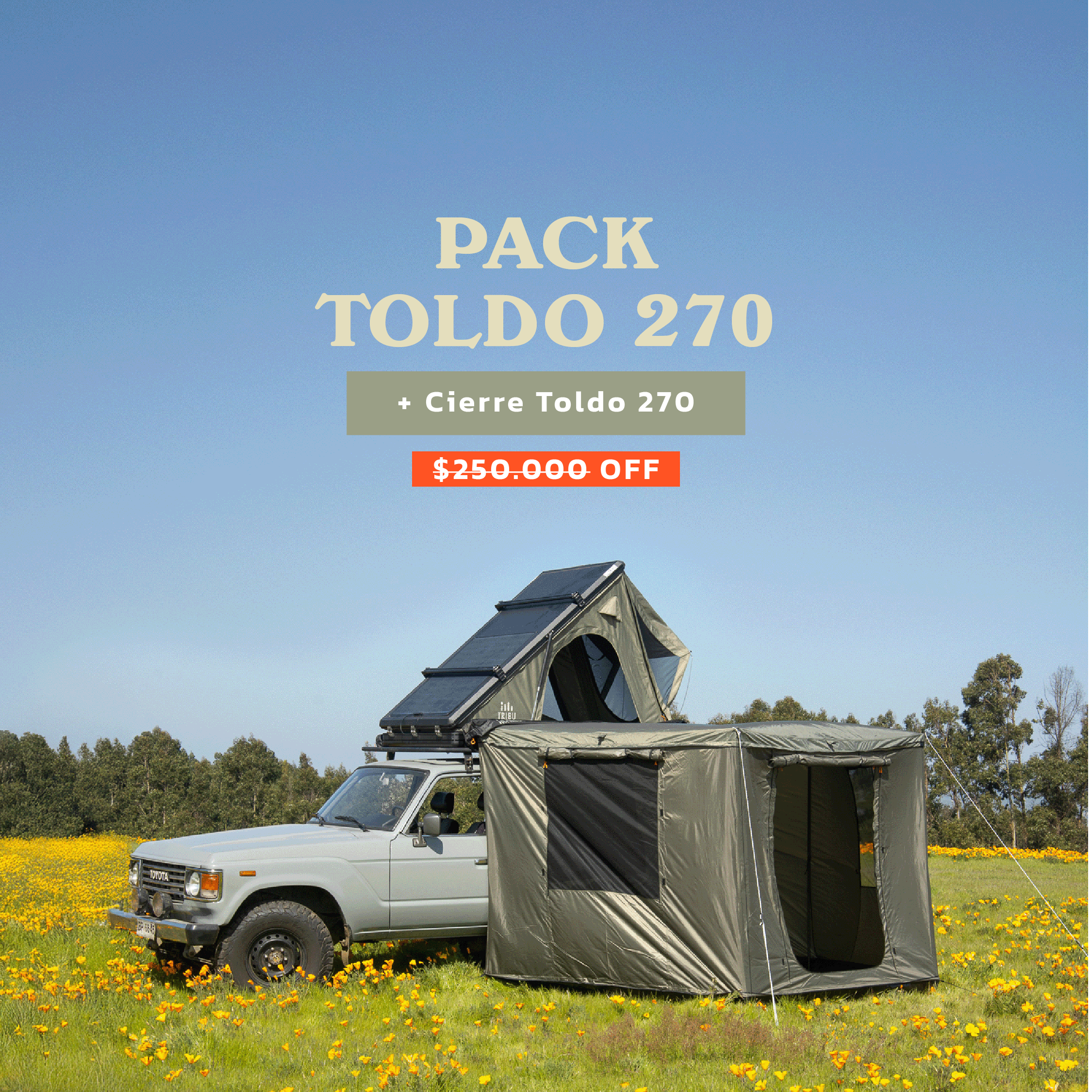 TOLDO 270