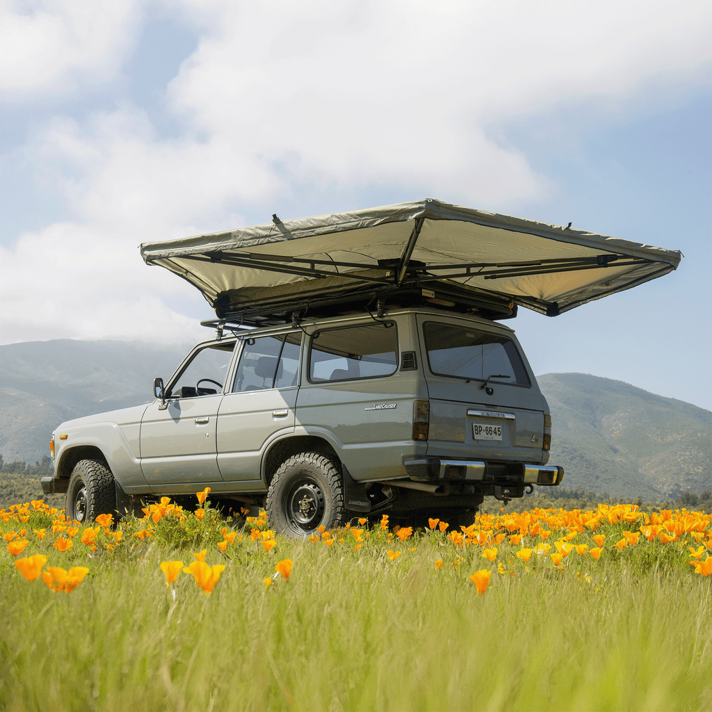 TOLDO 270