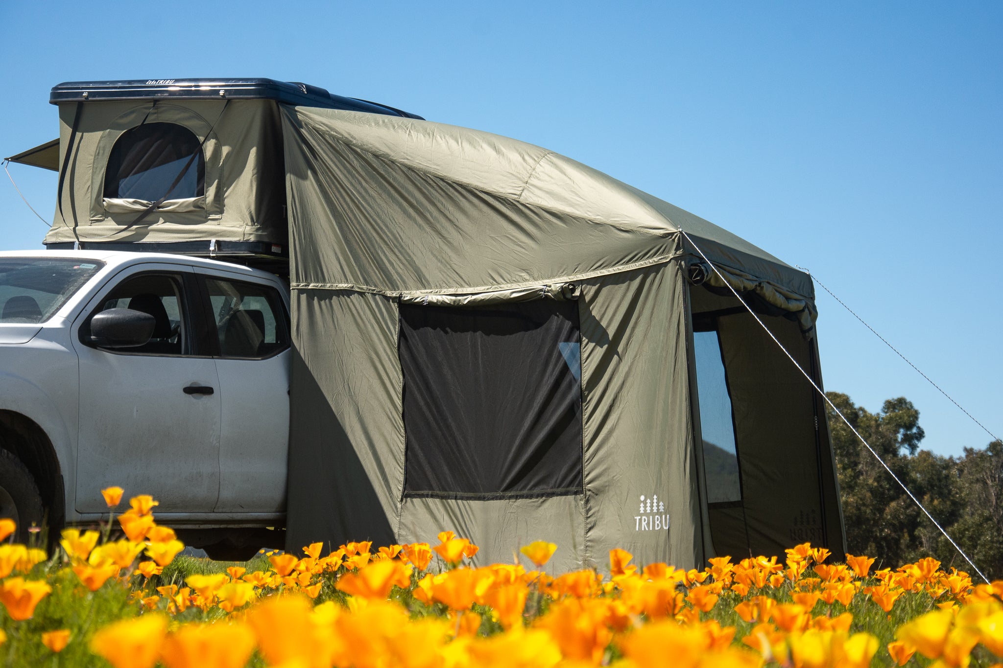 ANEXO DE CARPA NÓMADE